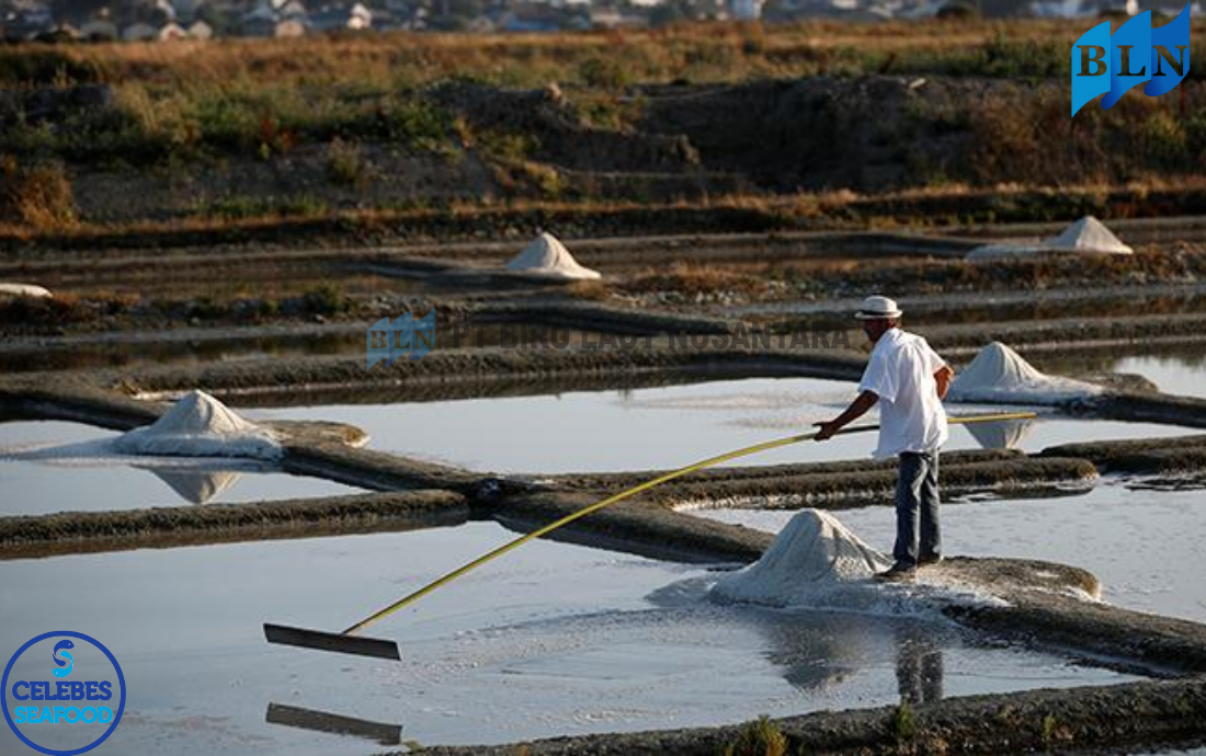Utilization of Salt in the Fisheries Sector